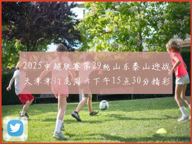 2025中超联赛第29轮山东泰山迎战天津津门虎周六下午15点30分精彩开战