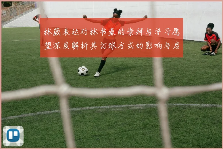 林葳表达对林书豪的崇拜与学习愿望深度解析其打球方式的影响与启发