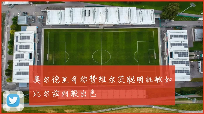 奥尔德里奇称赞维尔茨聪明机敏如比尔兹利般出色