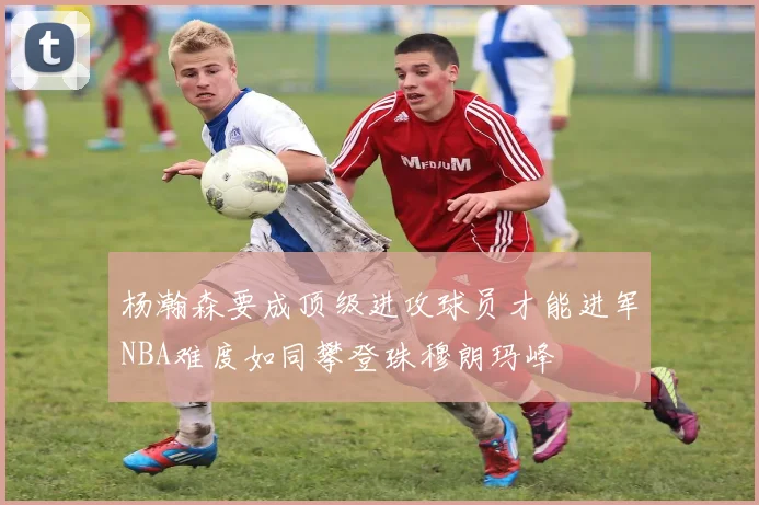 杨瀚森要成顶级进攻球员才能进军NBA难度如同攀登珠穆朗玛峰