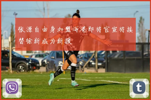 张源自由身加盟海港即将官宣将接替徐新成为新援