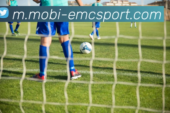 易倍体育平台生态图