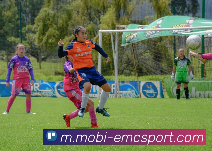 易倍体育APP 封面图