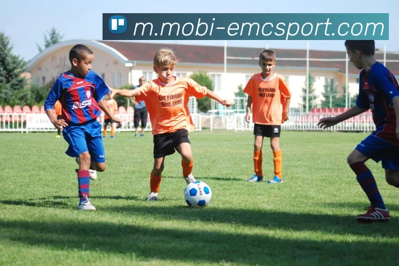 数据防护可视化